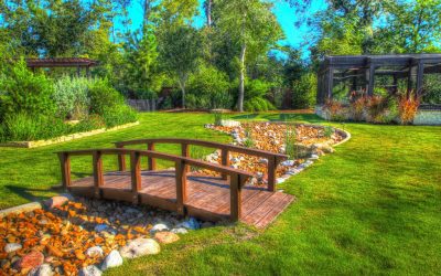 Top 3 Reasons to Work with a Professional for Landscaping Projects