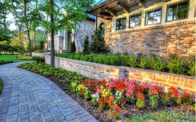 Top 5 Tips for Spring Landscaping