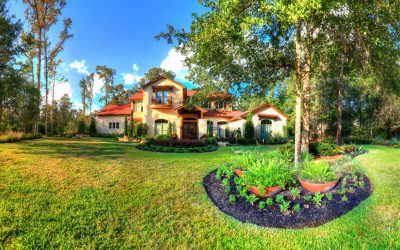 The Importance of Irrigation and Water Conservation for Landscaping